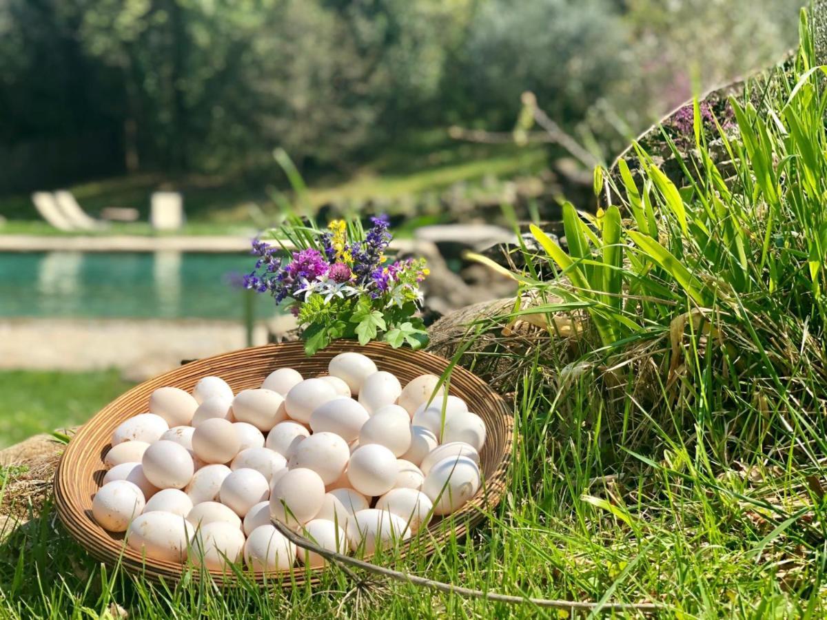 Villa La Cerreta - Terme Di Sassetta Extérieur photo